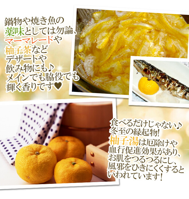 楽天市場】高知産 ”ゆず” 秀品 8〜15玉 約1.5kg【予約 11月下旬以降