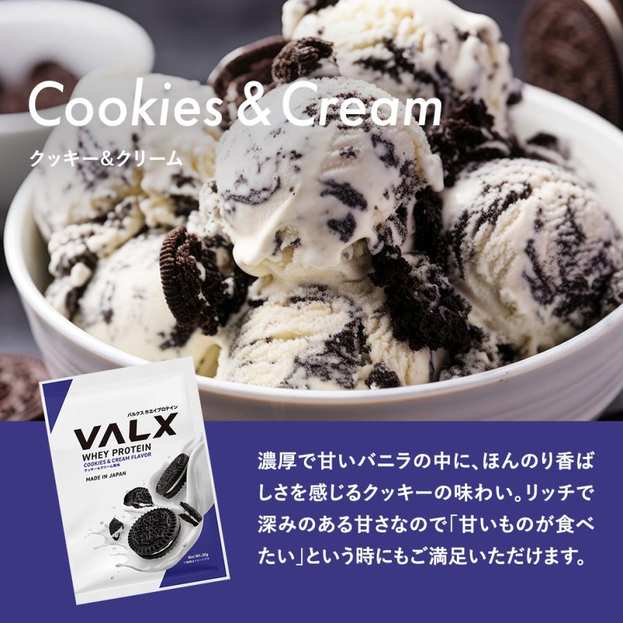 VALX（バルクス） ホエイプロテイン WPC コンプリートセット お試し 個
