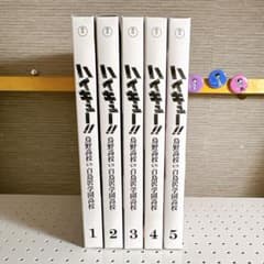 m70461128710_1.jpg?1734168814