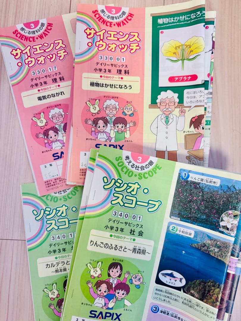 2021年度サピックスSAPIX 3年生テキスト 国語算数社会理科4教科 - メルカリ